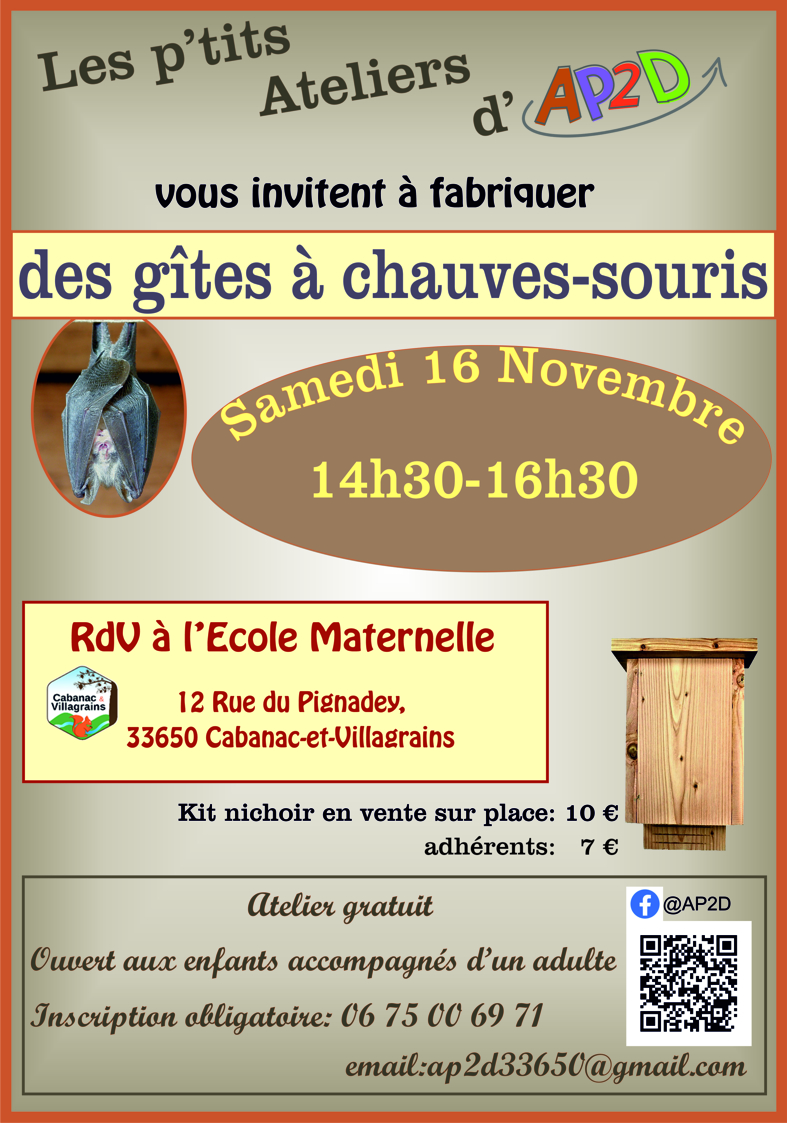 Atelier : fabriquer des nichoirs à chauve-souris