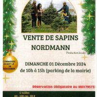 Vente de sapins Nordmann